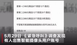 央视爆料偷钱案件最新进展,嫌疑人落网，案情细节披露